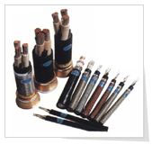 石油、天(tian)然氣用控(kong)制管線