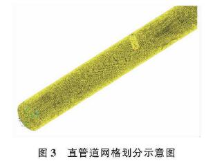 插入式電(dian)磁流量計(ji)直管道網(wang)格劃分示(shi)意圖