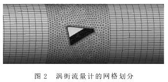 渦(wo)街流量(liang)計的網(wang)格劃分(fen)圖示