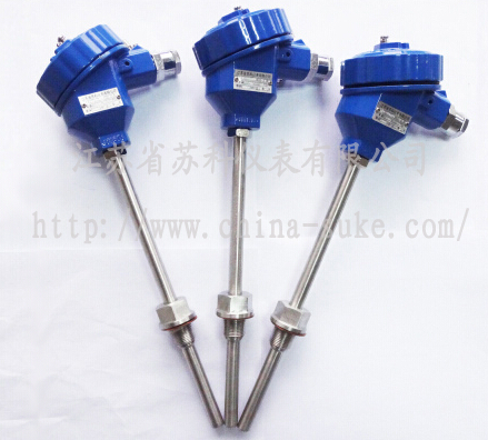 防爆型(xing)熱電阻