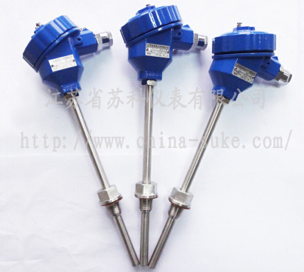 防(fang)爆型熱(re)電偶