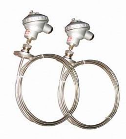 多點熱電(dian)阻