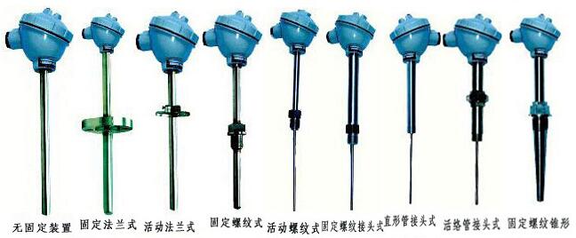 熱電(dian)阻結構(gou)形式圖(tu)示