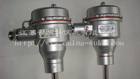 隔(ge)爆型熱電(dian)偶