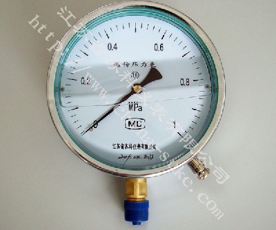 電阻遠(yuan)傳耐震壓(ya)力表