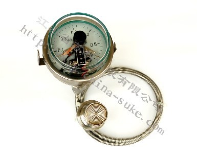 隔(ge)離式耐震(zhen)磁助電接(jie)點壓力表(biao)